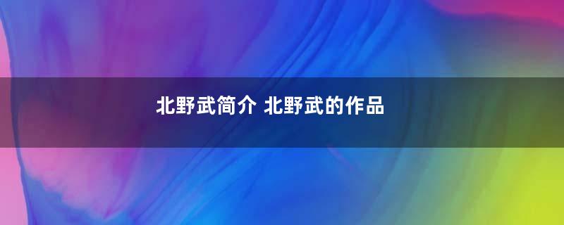 北野武简介 北野武的作品